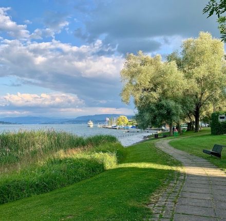 Eine Bahn führt zu einem See mit Gras und einer Bank in der Umgebung des Lage.